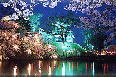 新潟上越市高田城夜景